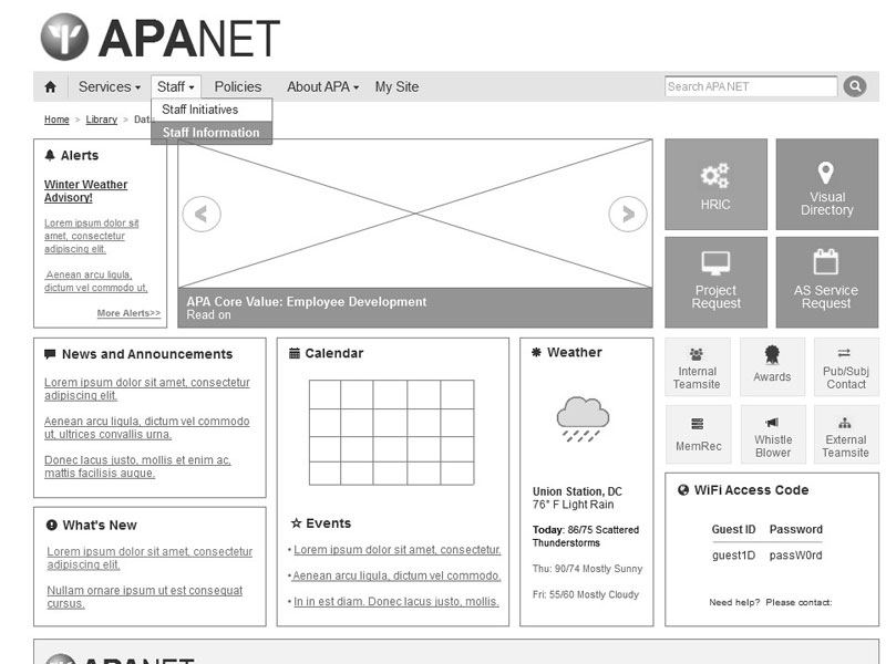 APA Portal Design